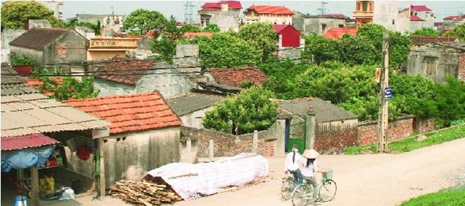 RoK foundation to build new rural village in Hau Giang  - ảnh 1